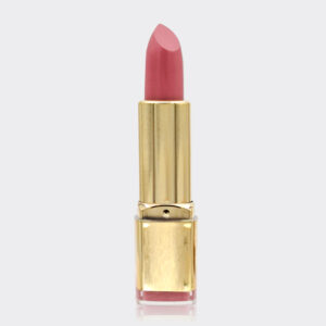 رژ لب جامد مات کنسی Kenci Matte Professional LipStick 4gr