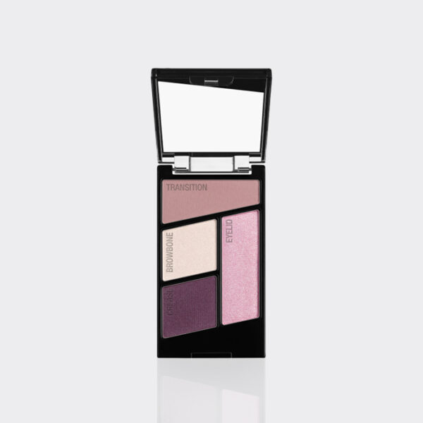 پالت سایه 4 رنگ کالر آیکون وت اند وایلد مدل Wet n Wild color icon Eye shadow Quad