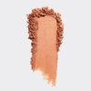رژگونه کالر آیکون وت اند وایلد مدل wet n wild Coloricon Blush Nudist Society
