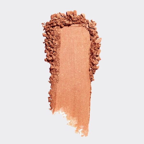 رژگونه کالر آیکون وت اند وایلد مدل wet n wild Coloricon Blush Nudist Society