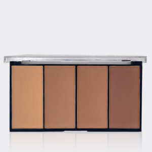 پالت کانتور کانسیلر خشک بیو استار Bio Star 4 Color Highlighter contour Powder 14gr