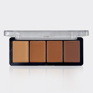 پالت کانتور چرب بیو استار Bio Star Perfect Contour Concealer Palette