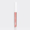 لیپ گلاس مگا اسلیکس وت اند وایلد مدل Wet n Wild MegaSlick Lip Gloss Brillant A Levres