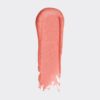 لیپ گلاس مگا اسلیکس وت اند وایلد مدل Wet n Wild MegaSlick Lip Gloss Brillant A Levres