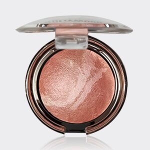 رژگونه هالیوود پارتی کوئین Party Queen HollyWood Professional Terracotta 14gr