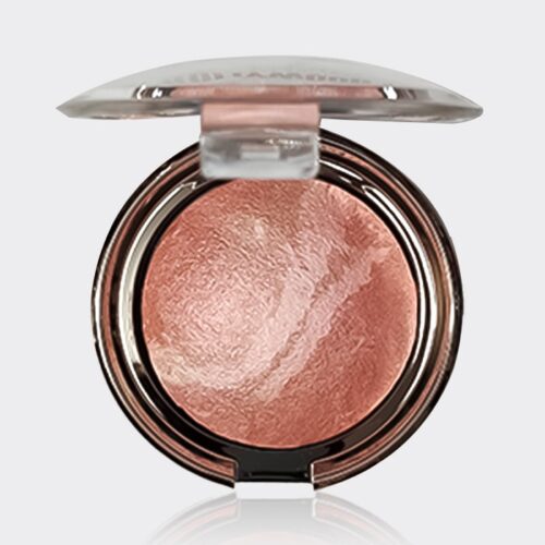 رژگونه هالیوود پارتی کوئین Party Queen HollyWood Professional Terracotta 14gr